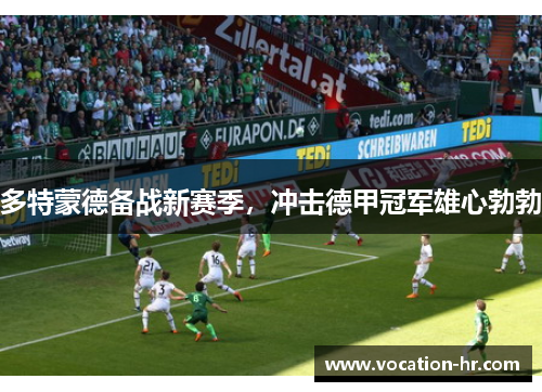 多特蒙德备战新赛季，冲击德甲冠军雄心勃勃