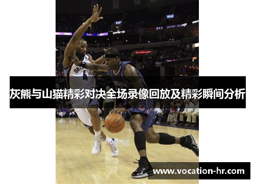 灰熊与山猫精彩对决全场录像回放及精彩瞬间分析